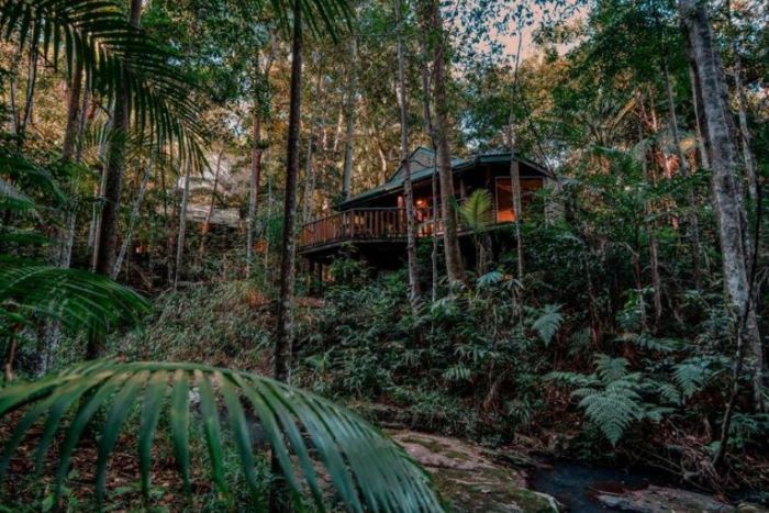 The hotel consists of six luxurious, self-contained pavilions, nestled amongst lush tropical rainforest.﻿ 
